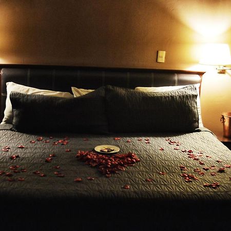 Hotel Flamingo Kristal Irapuato Zewnętrze zdjęcie